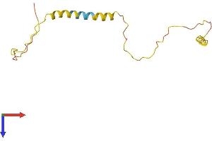 AlphaFold protein structure predicition of Human Recombinant LMO7DN Protein, UniprotID F2Z398
