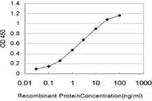 ELISA image for anti-3'-phosphoadenosine 5'-phosphosulfate Synthase 2 (PAPSS2) (AA 513-613) antibody (ABIN598592) (PAPSS2 Antikörper  (AA 513-613))