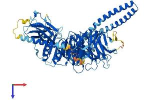 BBS2 Protein (AA 1-721) (His tag)