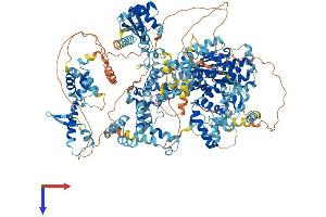 AlphaFold protein structure predicition of Human Recombinant SCAND3 Protein, UniprotID Q6R2W3