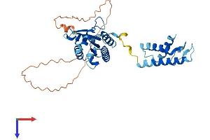 KTI12 Protein (AA 1-351) (His tag)