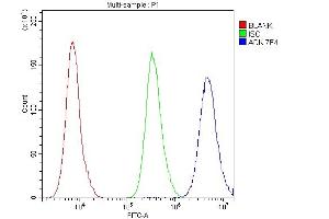 Flow Cytometry analysis of PC-3 cells using anti- ADK antibody (ABIN7600222).