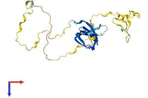 SNRPB Protein (AA 1-240) (His tag)