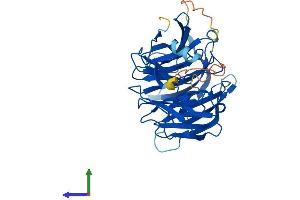Protein Structure (PS) image for Tumor Suppressing Subtransferable Candidate 1 (TSSC1) (AA 1-387) protein (His tag) (ABIN7544881)