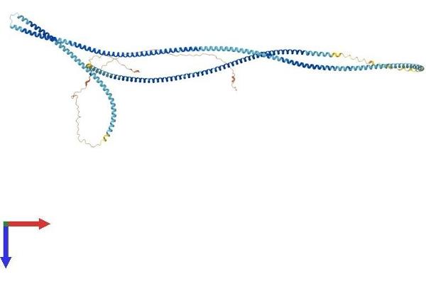 ODF2 Protein (AA 1-829) (His tag)