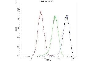 Flow Cytometry analysis of HEPG2 cells using anti-Factor I antibody (ABIN4886537).