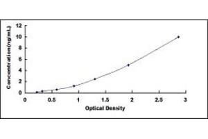 Programmed Cell Death 4 (PDCD4) ELISA Kit