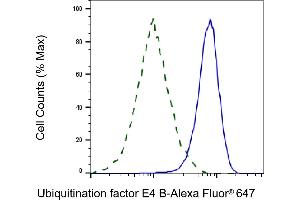 Validation of Ubiquitination factor E4 B knockdown using flow cytometry. (Rekombinanter UBE4B Antikörper)