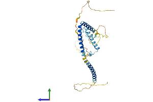 AlphaFold protein structure predicition of Mouse Recombinant Hexim2 Protein, UniprotID Q3TVI4