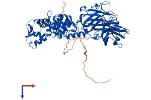 BTBD9 Protein (AA 1-612) (His tag)