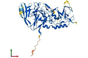 Protein Structure (PS) image for Pellino E3 Ubiquitin Protein Ligase 1 (PELI1) (AA 1-418) protein (His tag) (ABIN7550725)
