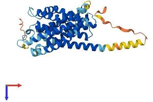 SLC10A1 Protein (AA 1-349) (His tag)