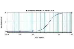 Image no. 1 for anti-Interleukin 8 (IL8) antibody (Biotin) (ABIN465817) (IL-8 Antikörper  (Biotin))