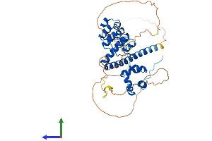 AlphaFold protein structure predicition of Mouse Recombinant Anks4b Protein, UniprotID Q8K3X6 (ANKS4B Protein (AA 1-423) (His tag))
