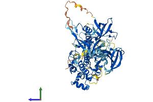 Protein Structure (PS) image for Nuclear Receptor Subfamily 4, Group A, Member 3 (NR4A3) (AA 1-630) protein (His tag) (ABIN7562999)