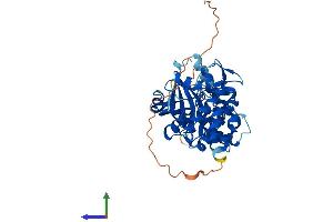 AlphaFold protein structure predicition of Human Recombinant NIM1K Protein, UniprotID Q8IY84 (NIM1 Protein (AA 1-436) (His tag))