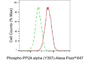 Flow cytometric analysis of Phospho-PP2A alpha (Y307) expression in HAP-1 cells using Phospho-PP2A alpha (Y307) antibody (ABIN7800021), 1:2,000). (Rekombinanter PPP2CA Antikörper  (pTyr307))