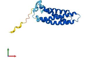 AlphaFold protein structure predicition of Human Recombinant MALL Protein, UniprotID Q13021