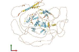 Protein Structure (PS) image for Zinc Finger E-Box Binding Homeobox 2 (ZEB2) (AA 1-1214) protein (His tag) (ABIN7556129)