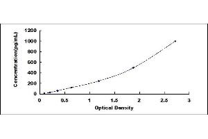 BMP6 ELISA Kit