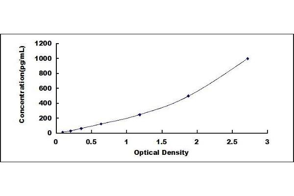 BMP6 ELISA Kit