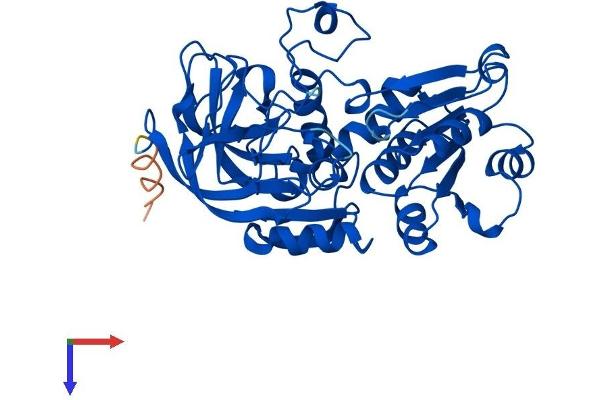 ADH7 Protein (AA 1-386) (His tag)