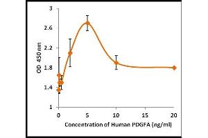 Activity Assay (AcA) image for Platelet Derived Growth Factor A (PDGFA) (Active) protein (ABIN5509326) (PDGFA Protein)