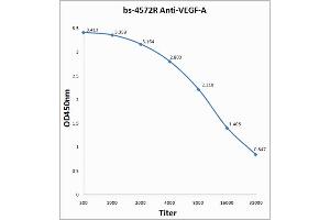 Antigen: 0. (VEGFA Antikörper  (AA 141-180))