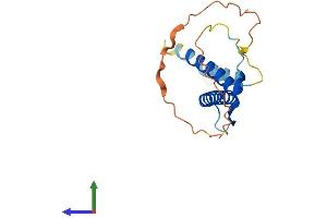 AlphaFold protein structure predicition of Human Recombinant FERD3L Protein, UniprotID Q96RJ6