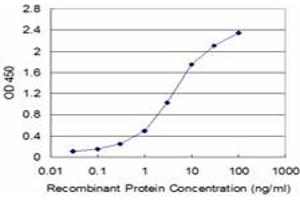 Detection limit for recombinant GST tagged FXN is approximately 0. (Frataxin Antikörper  (AA 91-200))