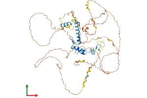 AlphaFold protein structure predicition of Human Recombinant EGR4 Protein, UniprotID Q05215