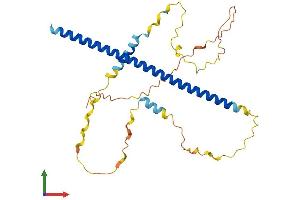 Protein Structure (PS) image for Activating Transcription Factor 5 (ATF5) (AA 1-283) protein (His tag) (ABIN7562515)