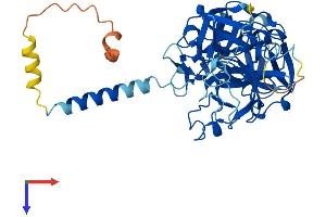 TMPRSS3 Protein (AA 1-453) (His tag)