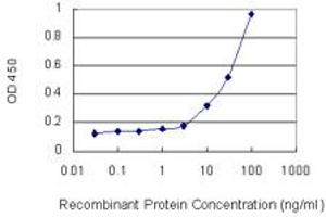 Detection limit for recombinant GST tagged CTGF is 1 ng/ml as a capture antibody. (CTGF Antikörper  (AA 31-251))