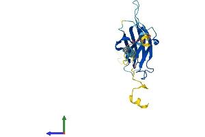 AlphaFold protein structure predicition of Human Recombinant NICN1 Protein, UniprotID Q9BSH3 (NICN1 Protein (AA 1-213) (His tag))