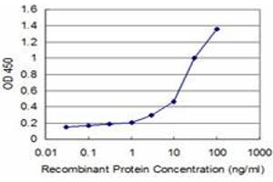 Detection limit for recombinant GST tagged HD is approximately 0. (Huntingtin Antikörper  (AA 81-190))