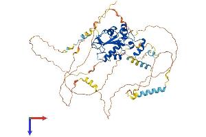 CDC25B Protein (AA 1-580) (His tag)