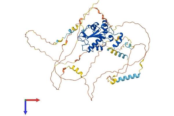 CDC25B Protein (AA 1-580) (His tag)