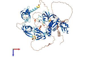 DLG3 Protein (AA 1-849) (His tag)