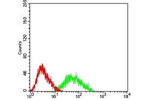 Flow Cytometry (FACS) image for anti-Catenin, beta Like 1 (CTNNBL1) (AA 390-557) antibody (ABIN7193357)