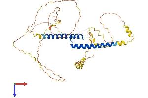 BHLHE22 Protein (AA 1-381) (His tag)