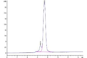 Size-exclusion chromatography-High Pressure Liquid Chromatography (SEC-HPLC) image for Transferrin Receptor (p90, CD71) (TFRC) (AA 89-760) protein (Fc Tag) (ABIN7275701)
