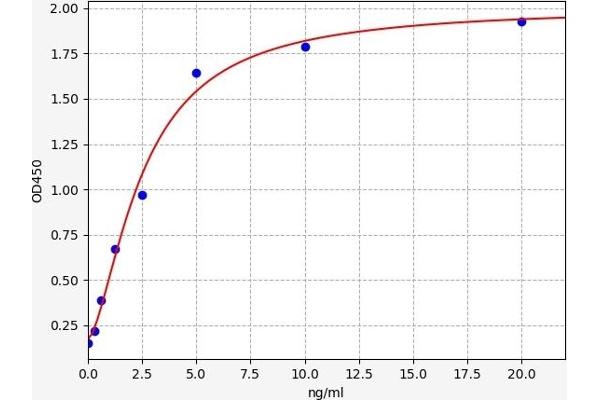 Glutamic Acid Decarboxylase ELISA Kit