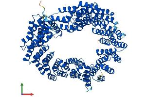 Protein Structure (PS) image for Transportin 3 (TNPO3) (AA 1-923) protein (His tag) (ABIN7564081)