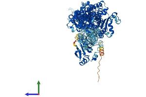 Protein Structure (PS) image for ATPase, Na+/K+ Transporting, alpha 3 Polypeptide (ATP1A3) (AA 1-1013) protein (His tag) (ABIN7564137)