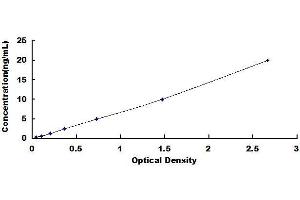 Typical standard curve (MCAM ELISA Kit)