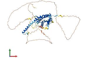 AlphaFold protein structure predicition of Mouse Recombinant Nap1l3 Protein, UniprotID Q794H2