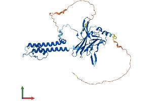 Protein Structure (PS) image for Potassium Inwardly-Rectifying Channel, Subfamily J, Member 5 (KCNJ5) (AA 1-419) protein (His tag) (ABIN7554248)