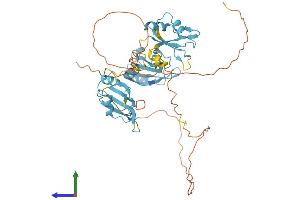 Protein Structure (PS) image for Heterogeneous Nuclear Ribonucleoprotein H2 (H') (HNRNPH2) (AA 1-449) protein (His tag) (ABIN7548388)