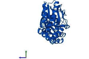 AlphaFold protein structure predicition of Human Recombinant OSGEP Protein, UniprotID Q9NPF4